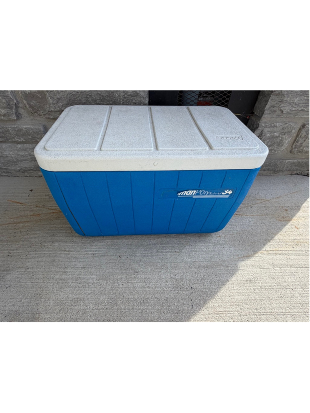 Coleman Blue and White Cooler One Size